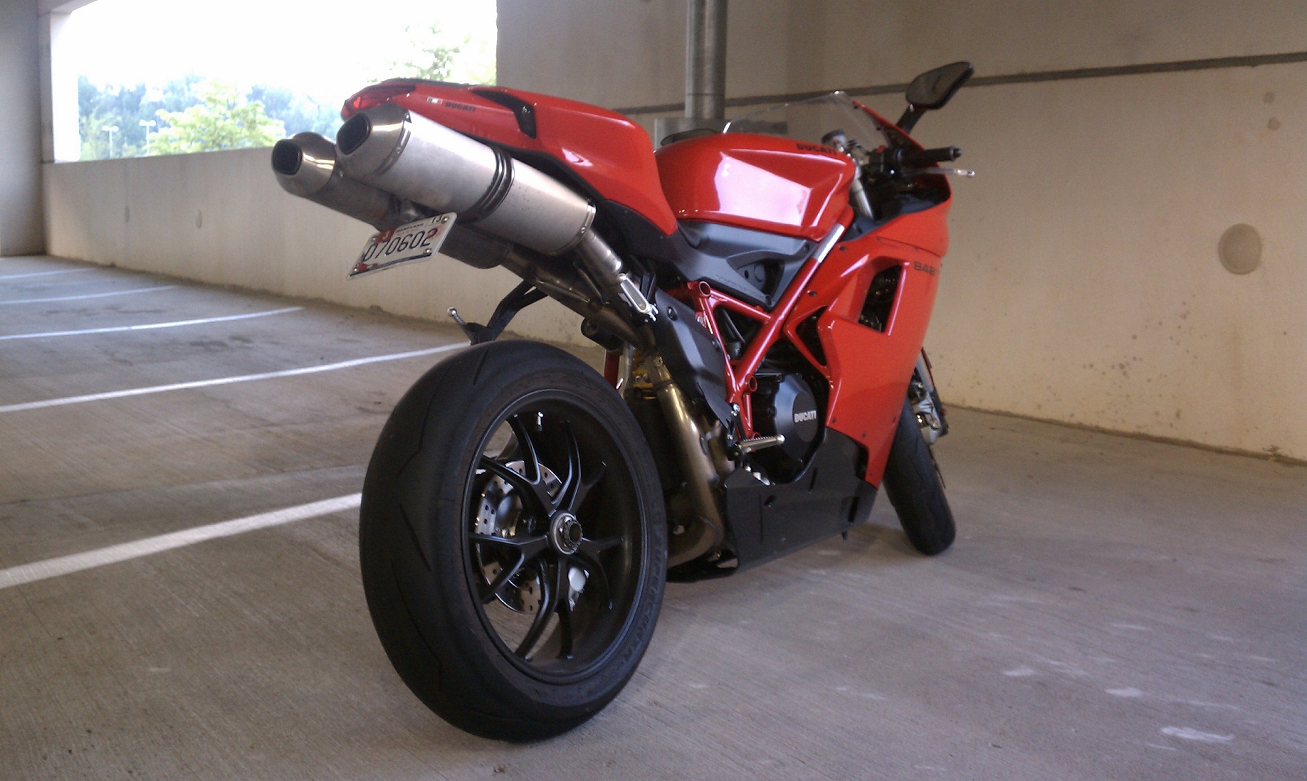 Duc 2.jpg
