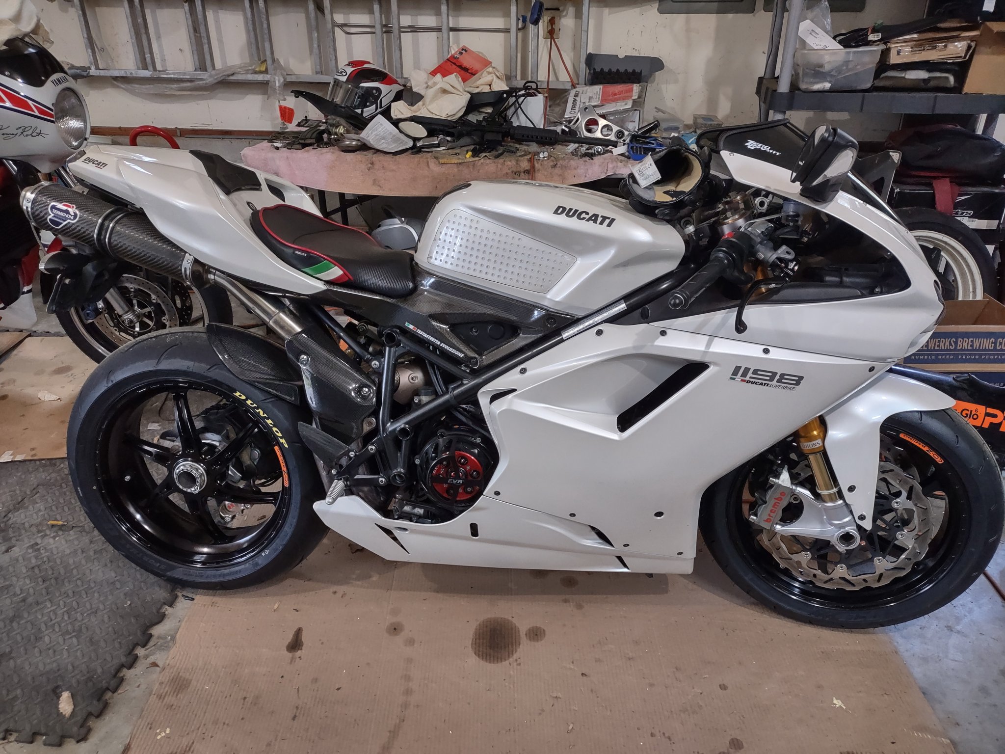 duc.jpg