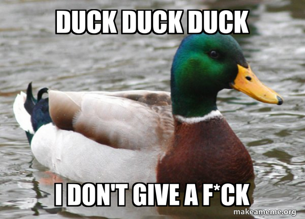 duck-duck-duck-5adb9bceb0.jpg