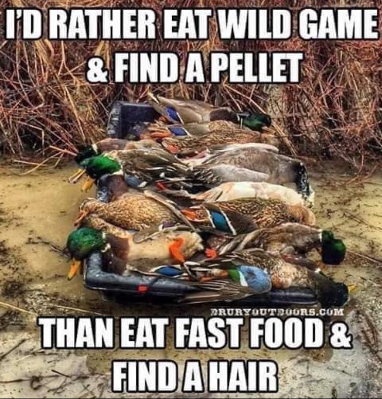 duck food.jpg
