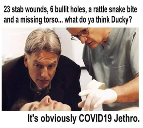 ducky.png