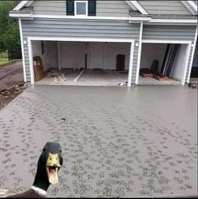 ducky.png