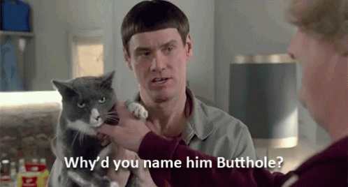 dumbanddumber-butthole.gif