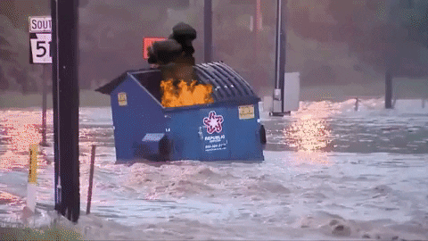 Dumpster Fire.gif