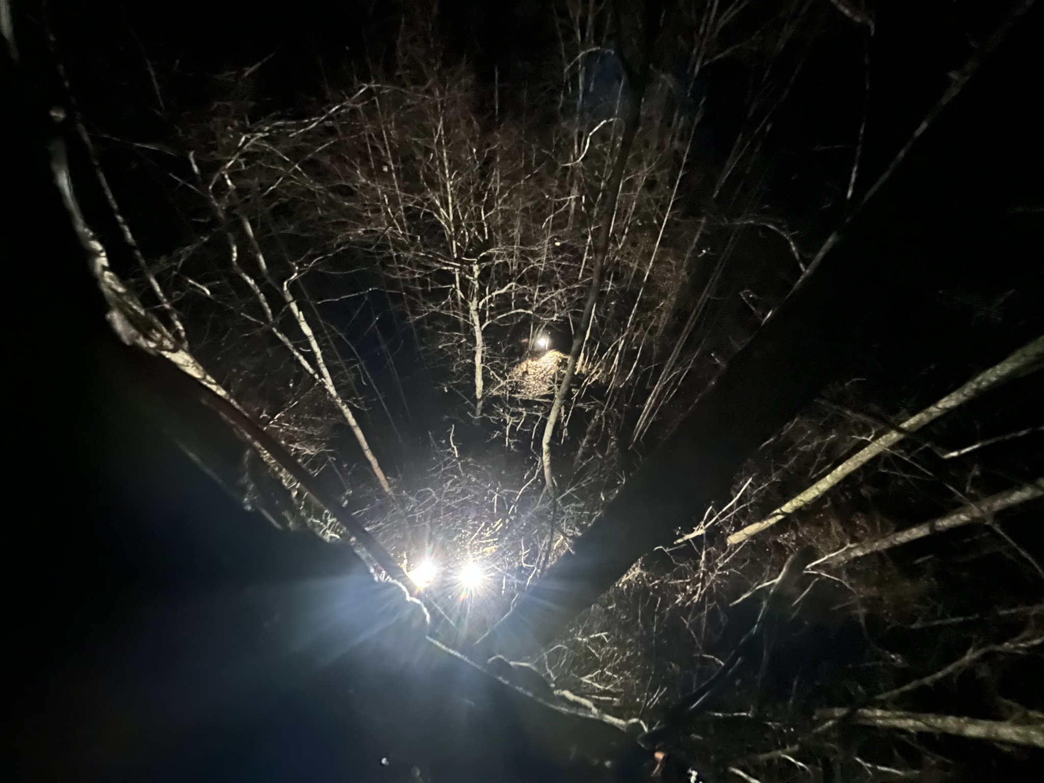 E0F8ED94-4C60-4255-8C2A-C7970620E1A7.jpeg