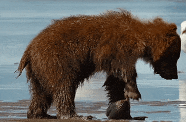 E1033972-032F-4E67-98FC-CEFA2F72B222.gif