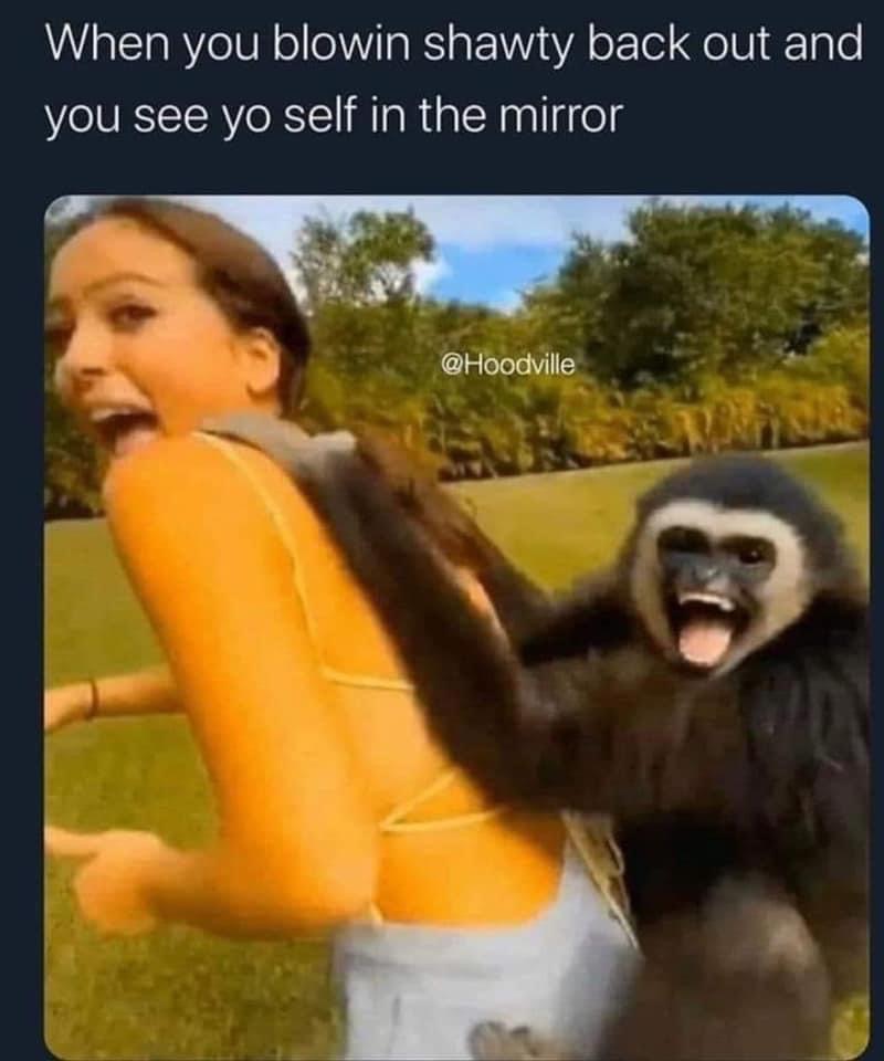 E162D9E5-57D2-4FC2-BBDE-D805F6F8C6B3.jpeg