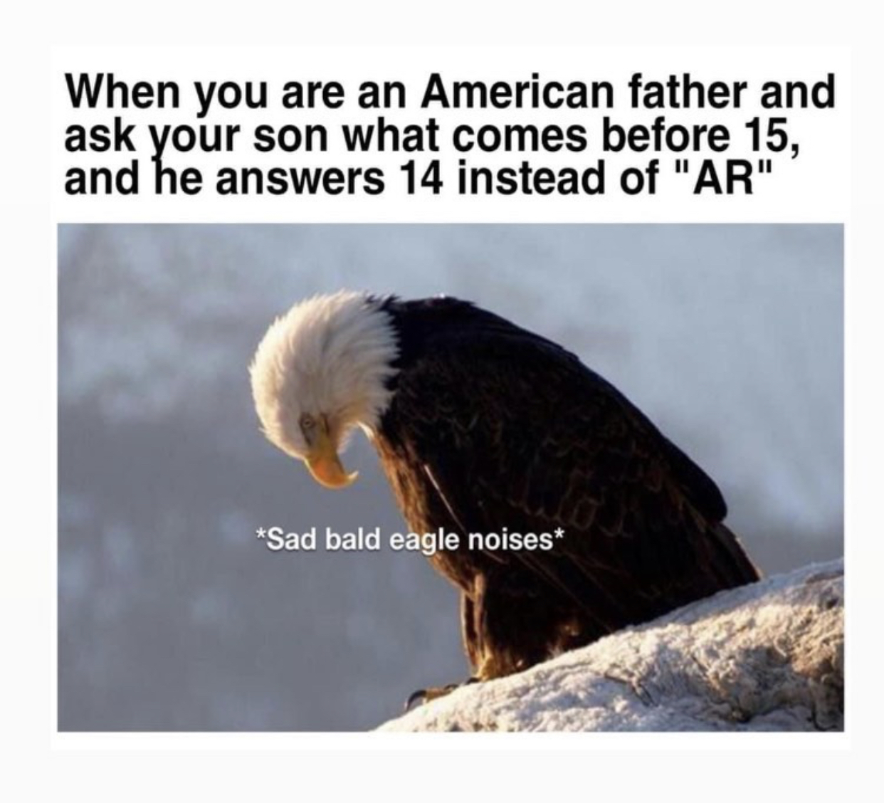 E1F46F0F-BE17-4B1D-AF4D-D87E8F2E8285.jpeg