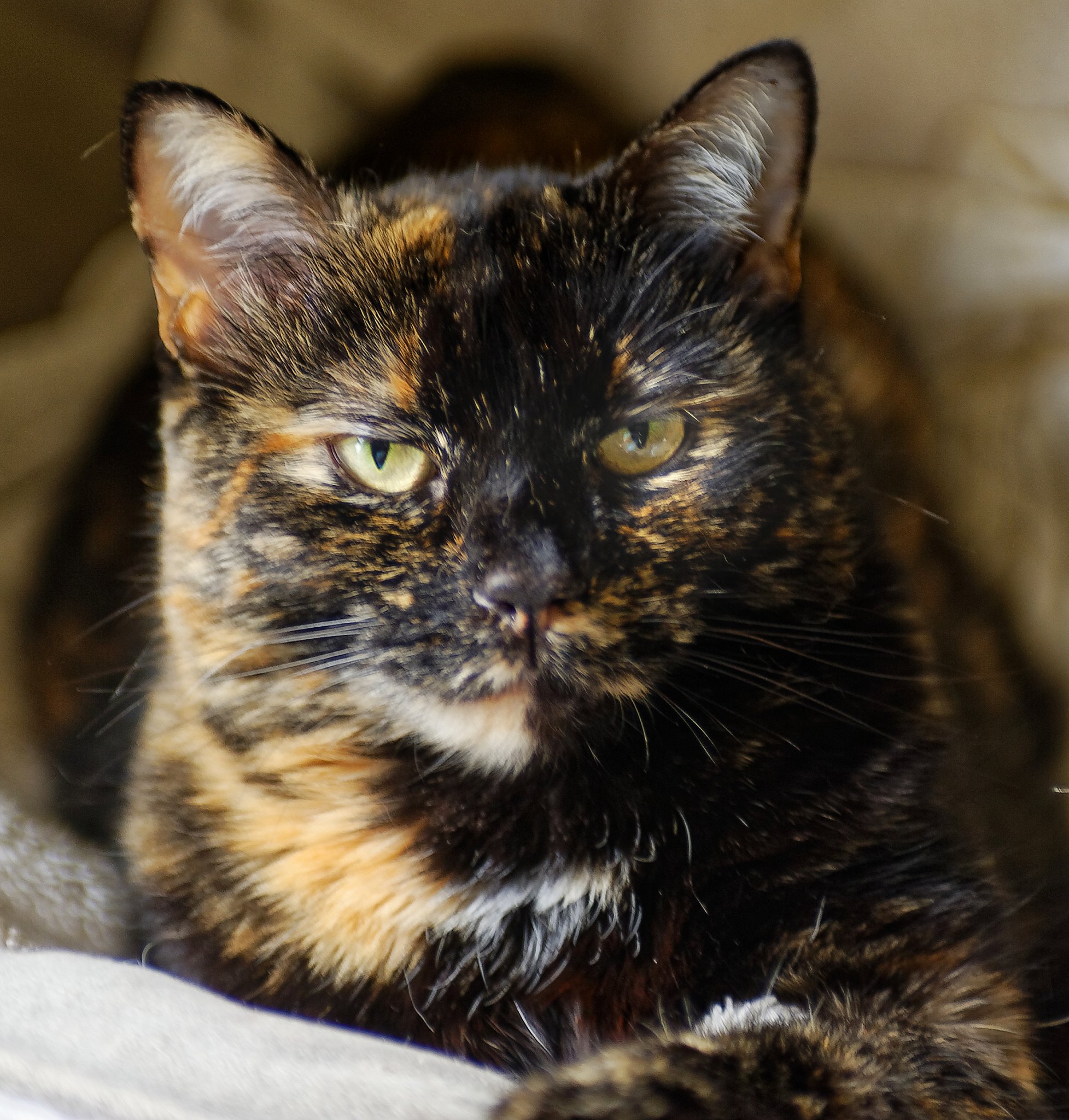 E22915D7-A014-4AEF-AB9C-2A4818FDB70D.jpeg