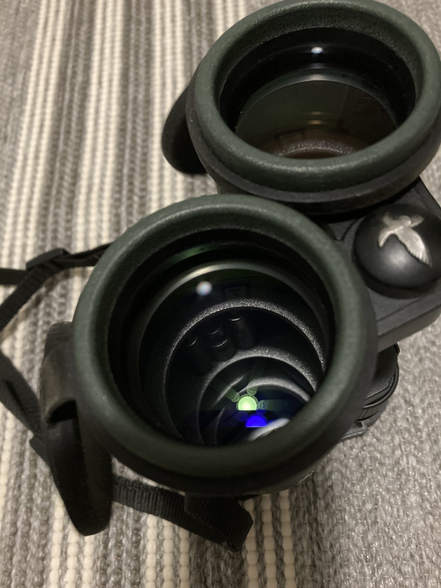 E29064E2-C94D-4D21-92B5-4B4559D21594.jpeg