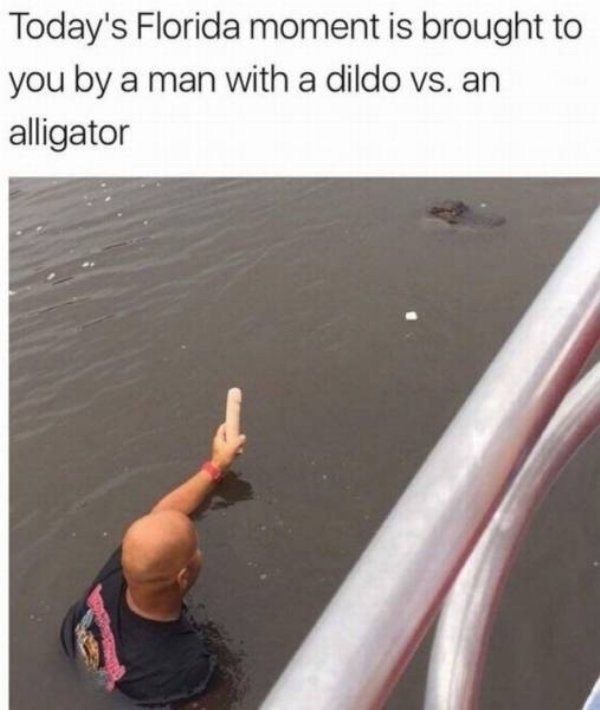 E35FF335-0307-416E-9402-93D9F1D5BF63.jpeg