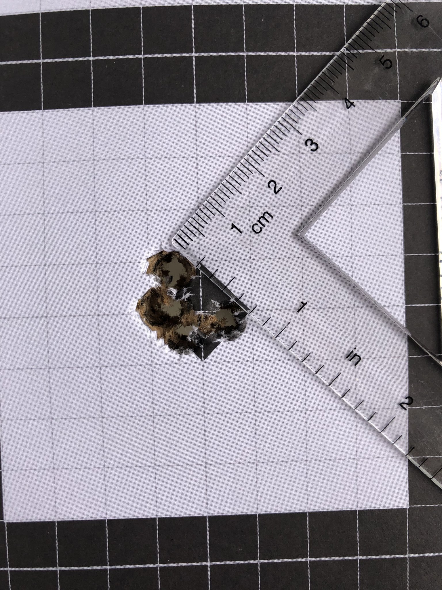 E40ED30A-DF73-4419-8D30-4868C2887636.jpeg