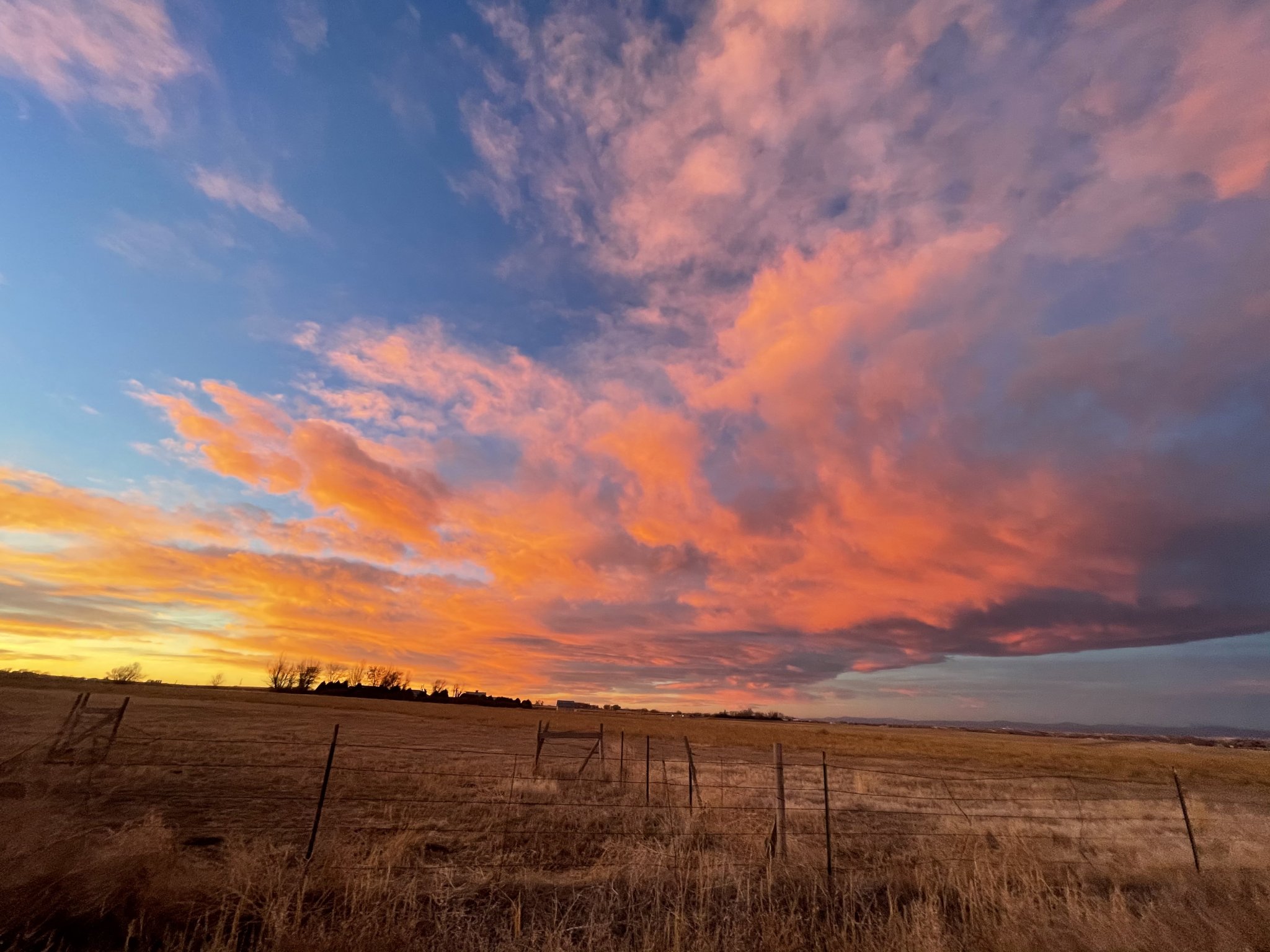 E45C1519-CF04-4997-A46C-5D984428F266.jpeg