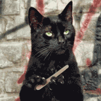 E49E254F-7C2A-4017-BAC7-40E7C510A215.gif