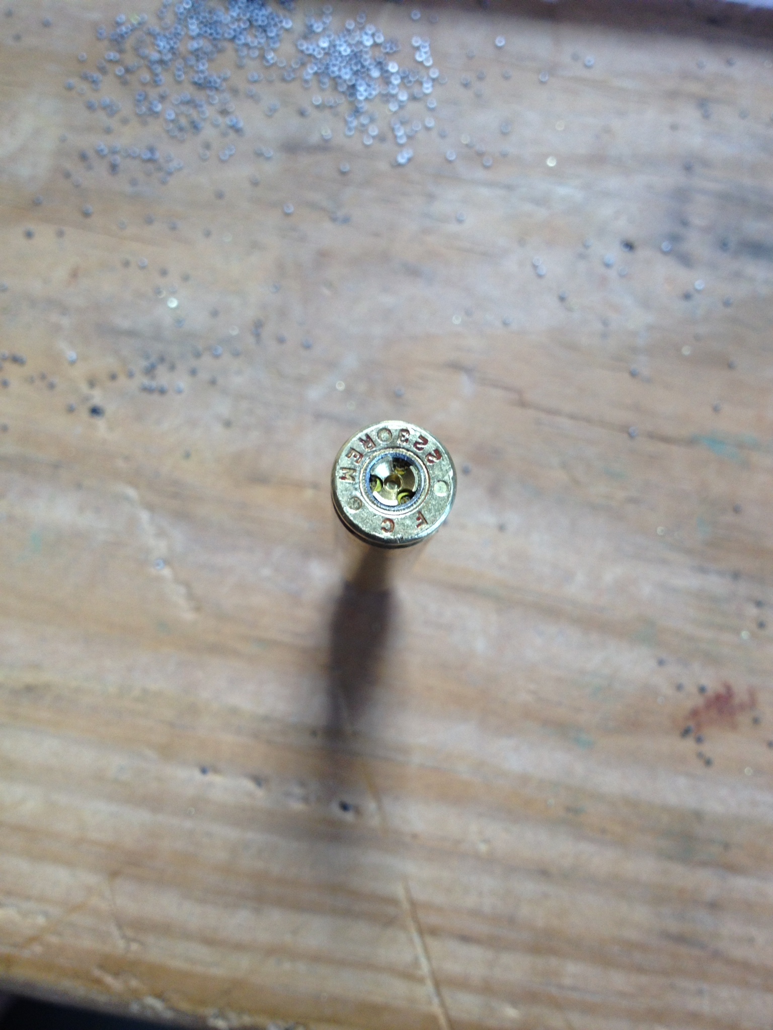 E5111DF9-A50F-42DA-8020-4B347B12B211.jpeg