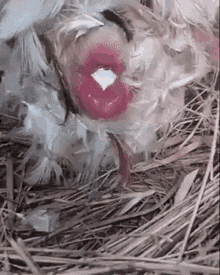E746FB95-2AA4-4505-BCD7-01BA4C91D8F5.gif