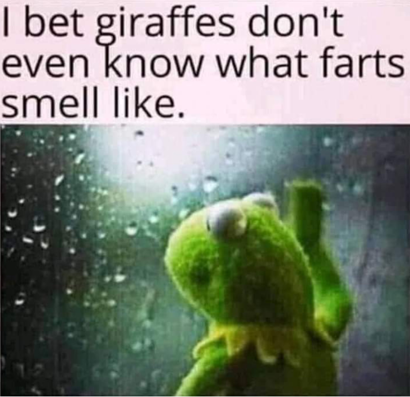 E7E0A9F1-8C14-4AFD-ABFD-E1140D1E68DE.jpeg