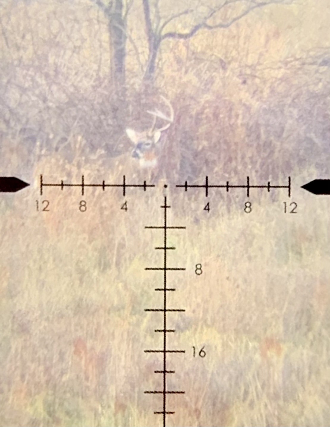 E7E642A3-2CEC-4E4B-9ECA-188D5D891771.jpeg