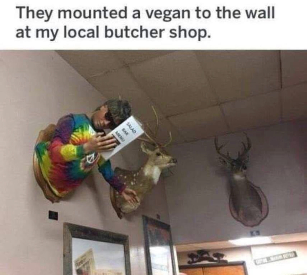 E8237D68-6FDE-42AE-B325-23FCAECFBBC8.jpeg