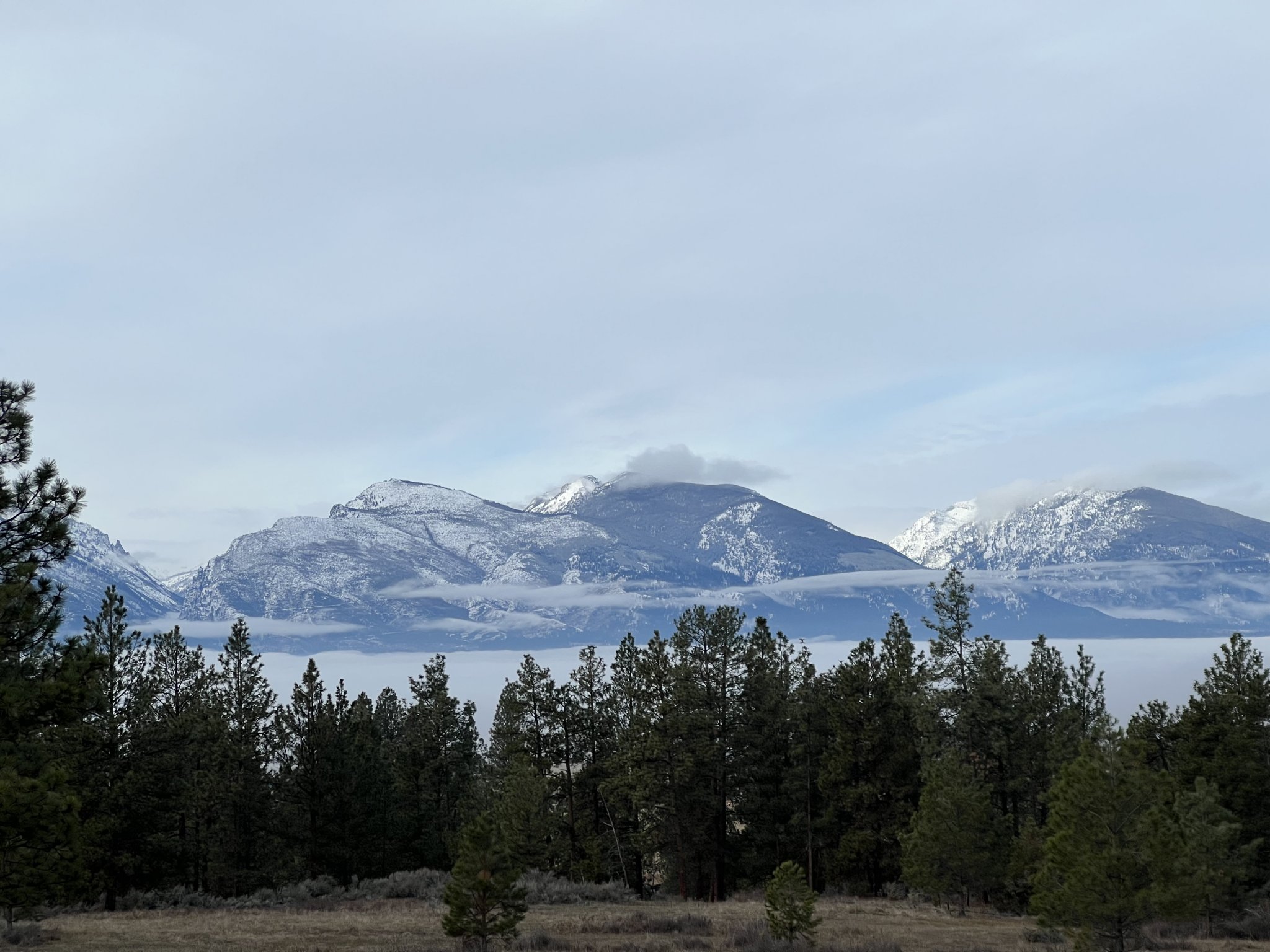 E893997D-EA42-410A-AC4A-0A537845C68A.jpeg