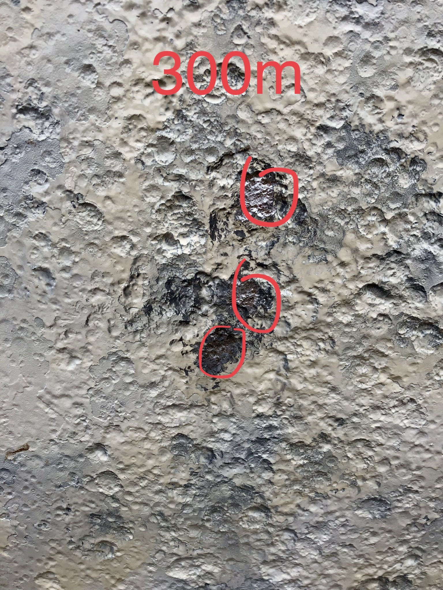 E95300BD-B854-4E77-8660-957595B08E30.jpeg