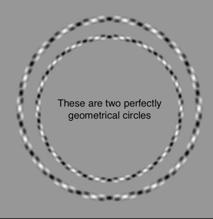 E9C70A39-15CB-449A-8E21-89C221D0716D.jpeg