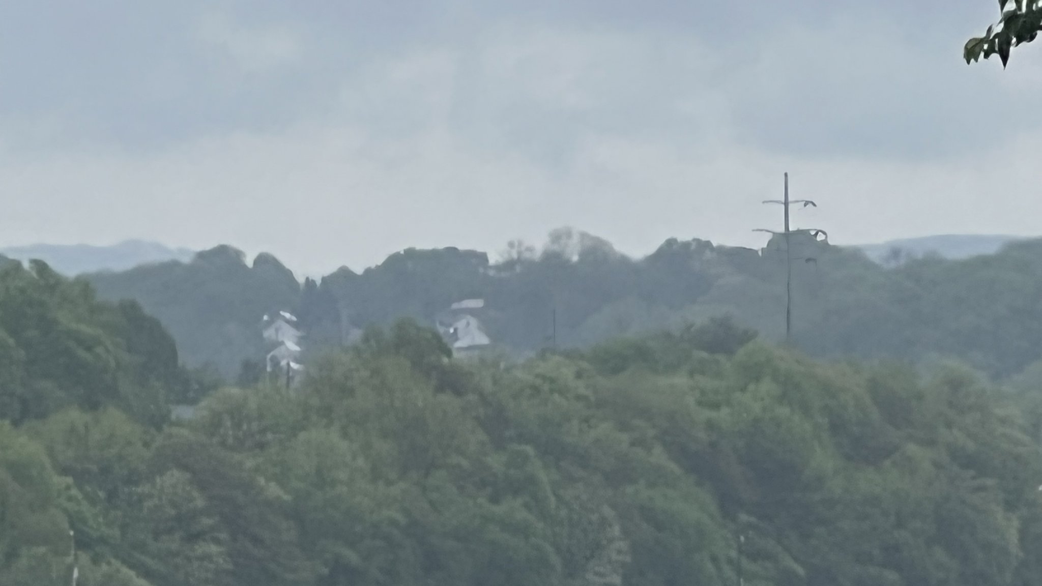 EA290131-7630-4E14-A90F-8D4614B6BD8D.jpeg