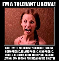 eaede5343c68b36909cdcb806d53e8e7--stupid-liberals-liberal-logic.jpg