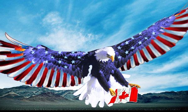 eagle-usa-canada.jpeg