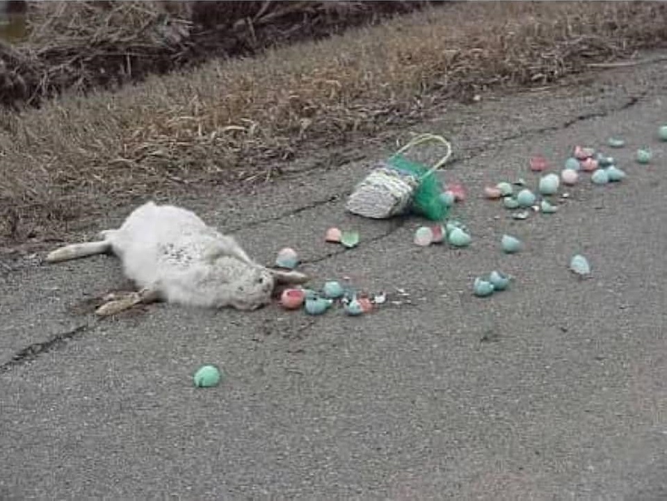 Easter Bunny.jpg