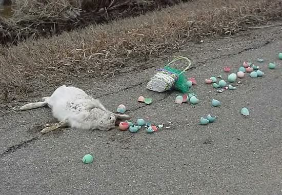 easter.png