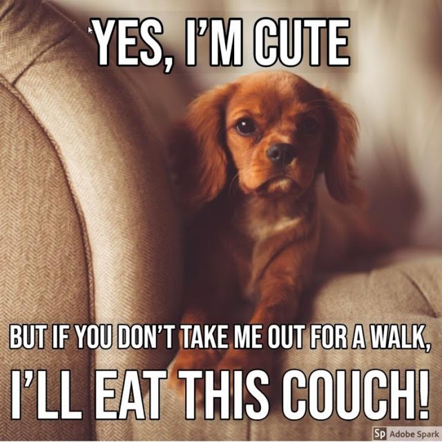 eatcoach.jpg