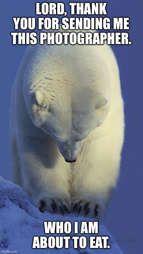 EBB6C2CB-48C9-41E6-9F71-B2EBA0CE4DC8.jpeg