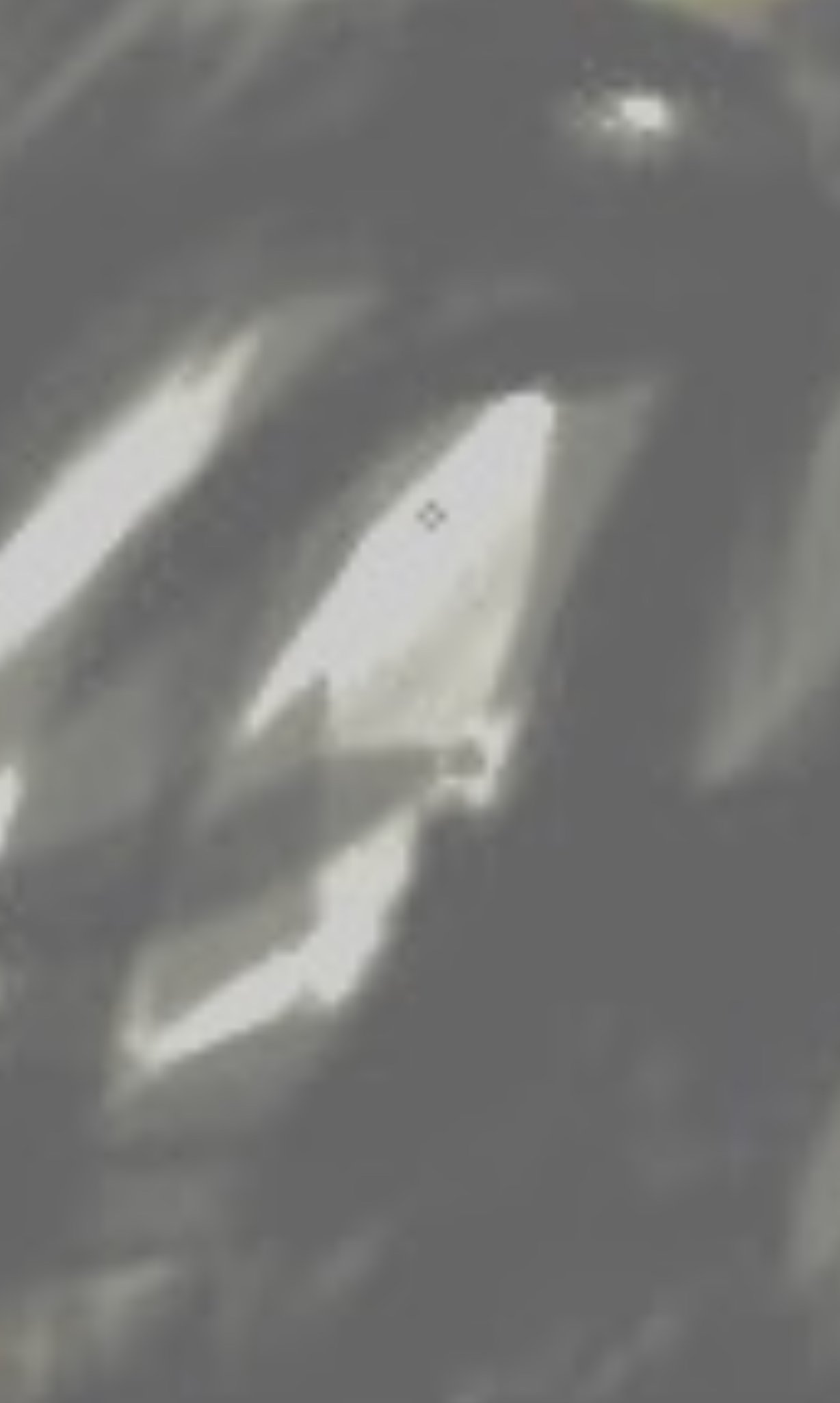 EBD28AE8-E685-4375-A9EF-BB36A886B183.jpeg