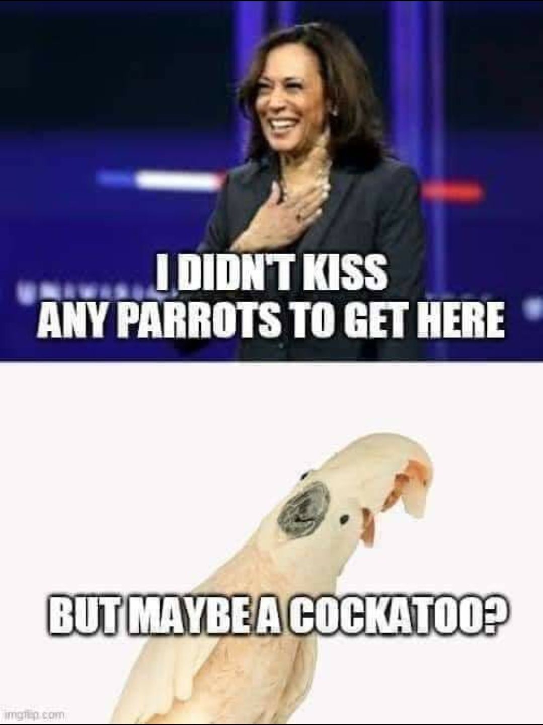 EC4BE05E-4755-4082-BE6D-12F69948BD58.jpeg