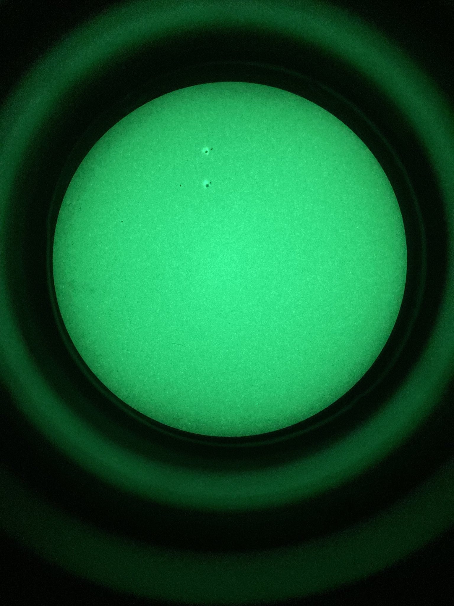 EC68464D-21CA-4041-AE5E-9E49D201500C.jpeg