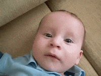 ECCBB3F1-C72E-4608-AA6F-F974EC656742.gif