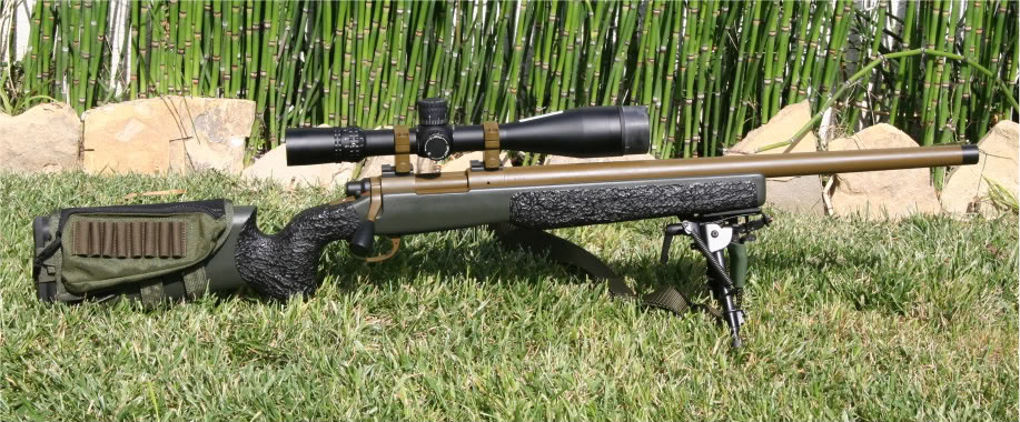 Echo 51.jpg