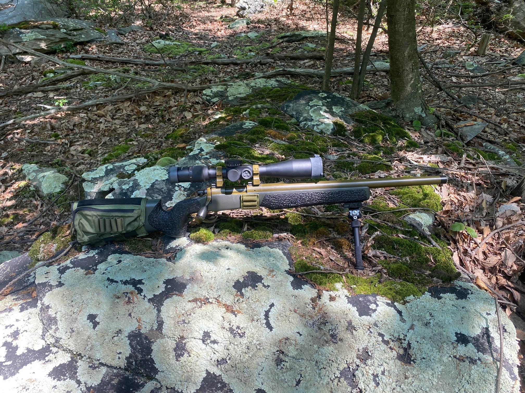 Echo51_1.jpg