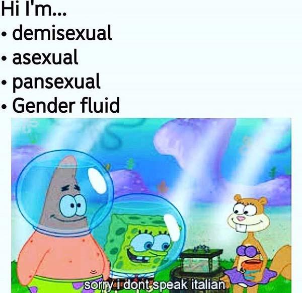 ED03DE86-FB28-49DC-BFC5-362A249EF147.jpeg
