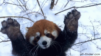 ED9C3972-90FD-4240-AB2F-D67BBECEE952.gif