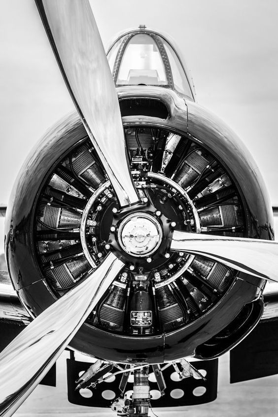 EDC4DF9B-F224-47BD-A7EE-854F0F722322.jpeg