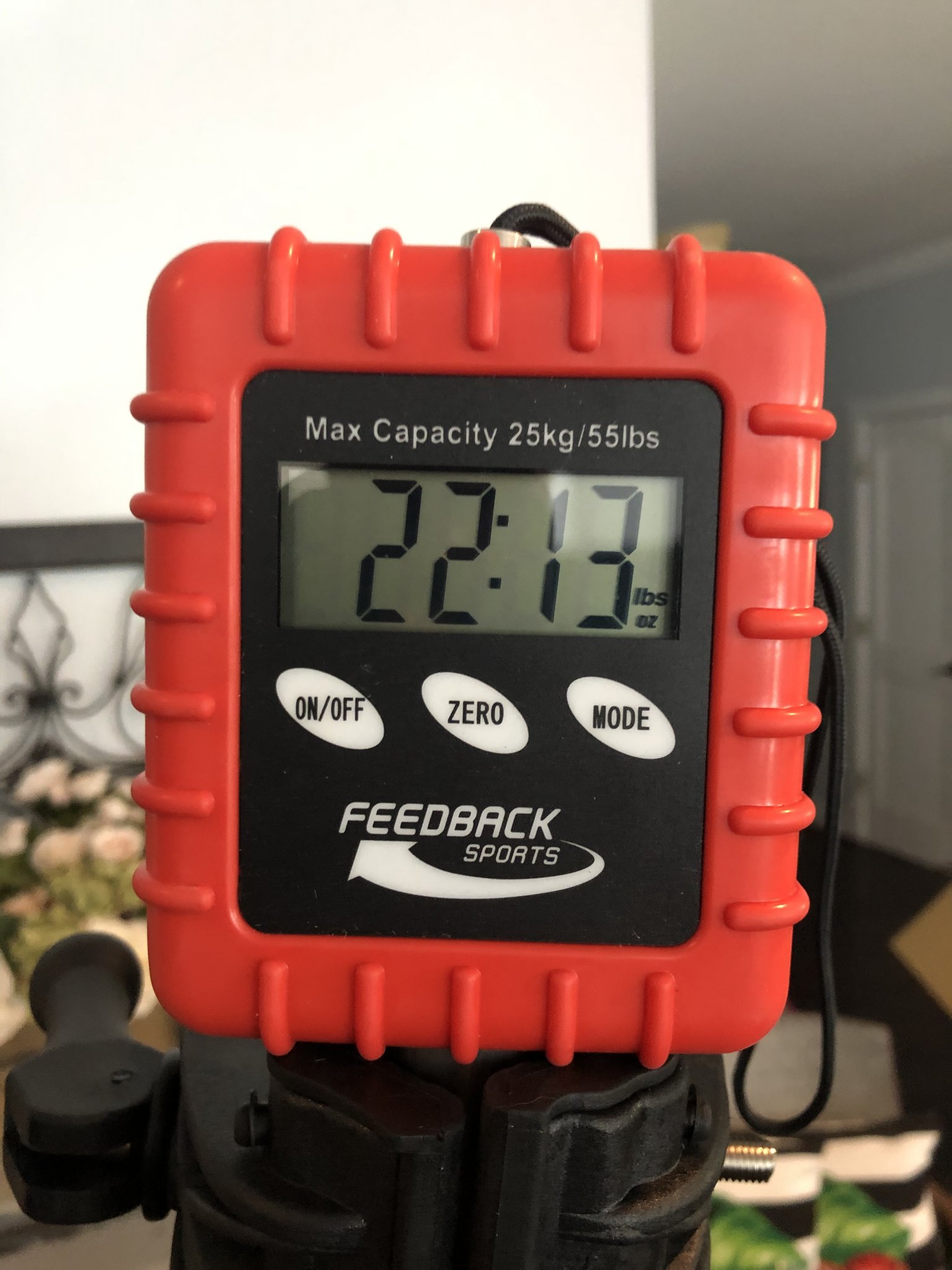 EE077BCE-9BB6-43D1-93EA-8D07ED2770EF.jpeg