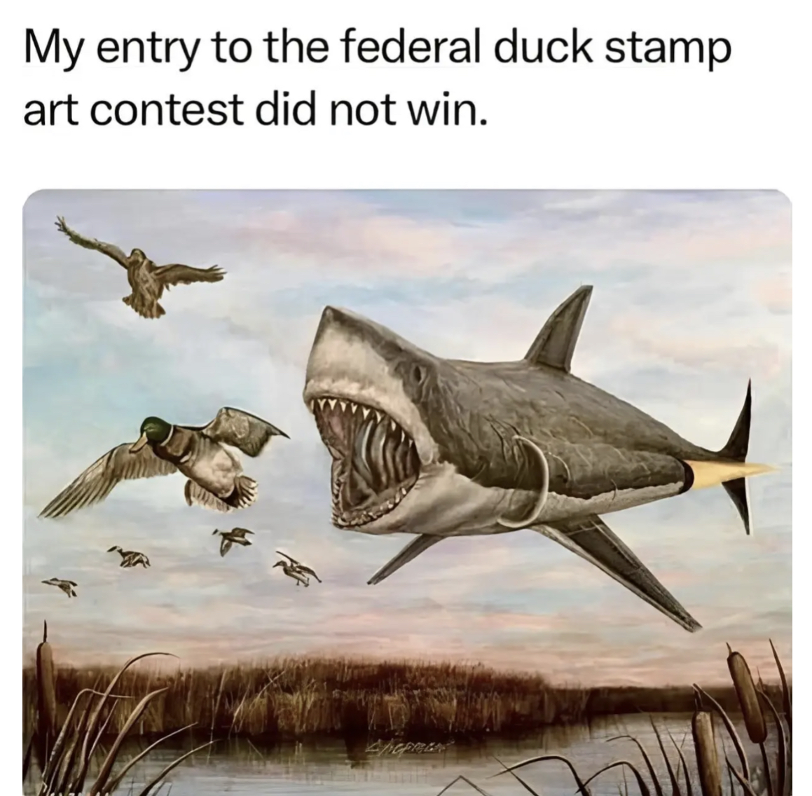 EF8F176E-5F6F-4BF4-8F18-F2B96D7CF90A.jpeg