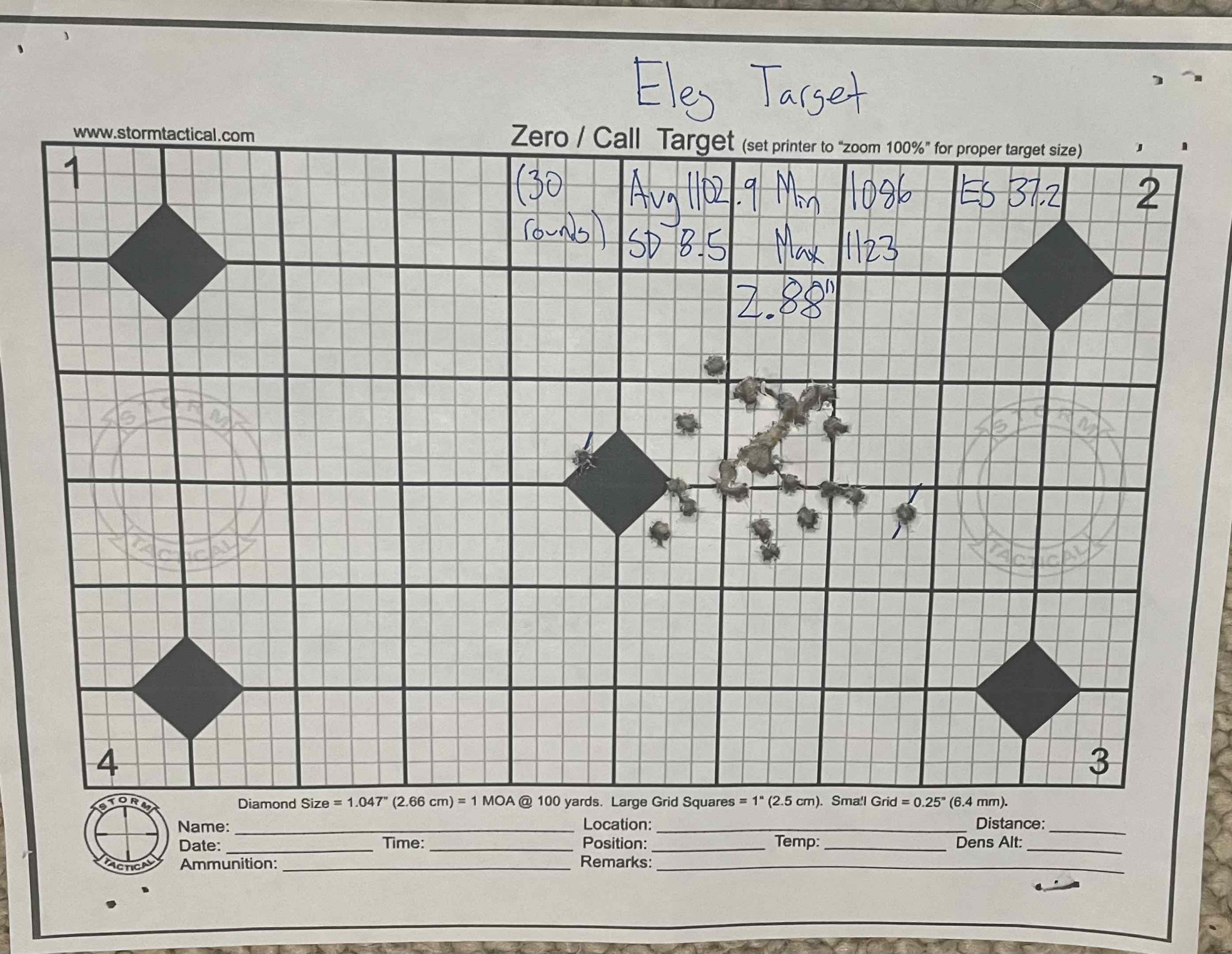 EleyTarget.jpg