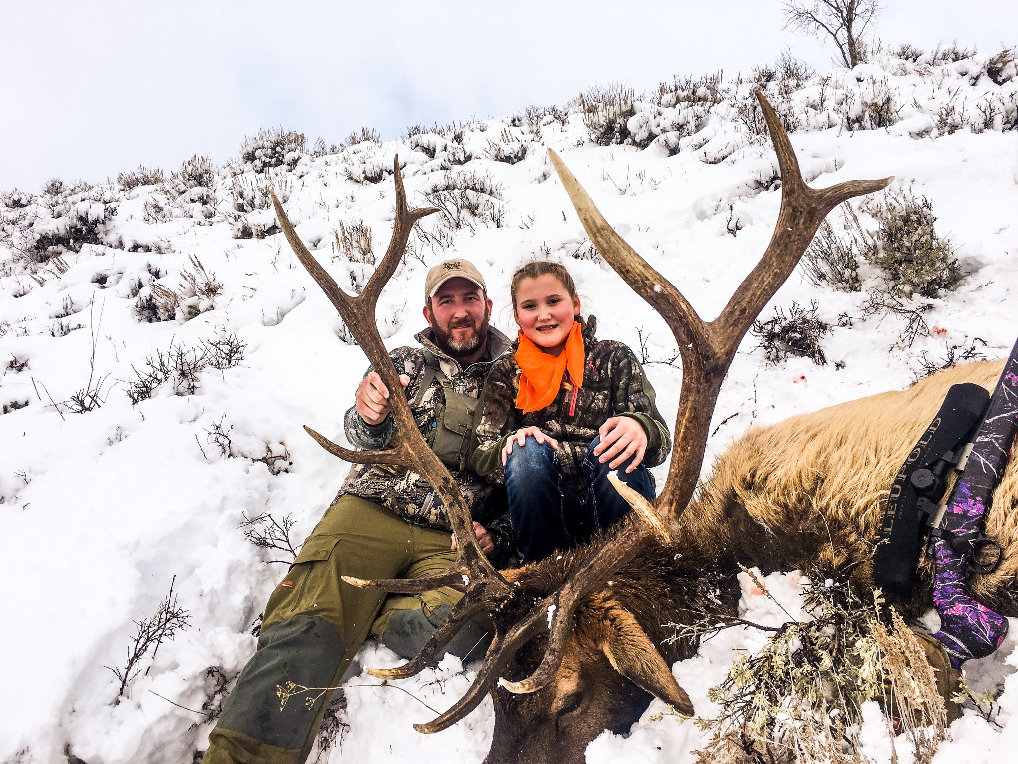 Elk 18..jpg