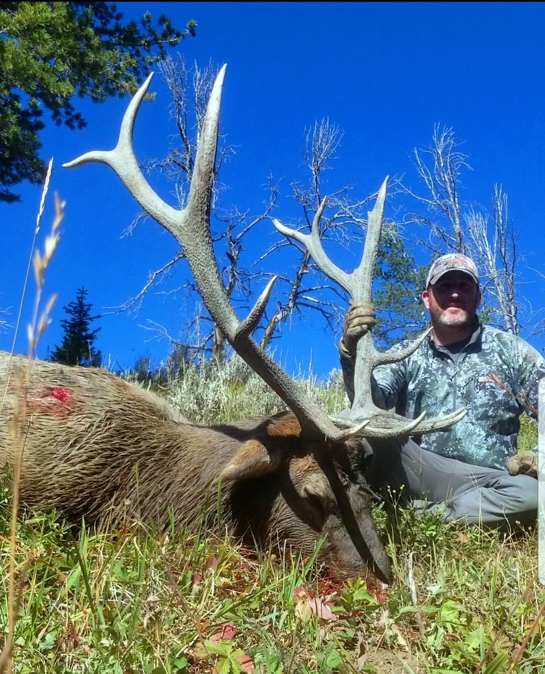Elk 19.jpg