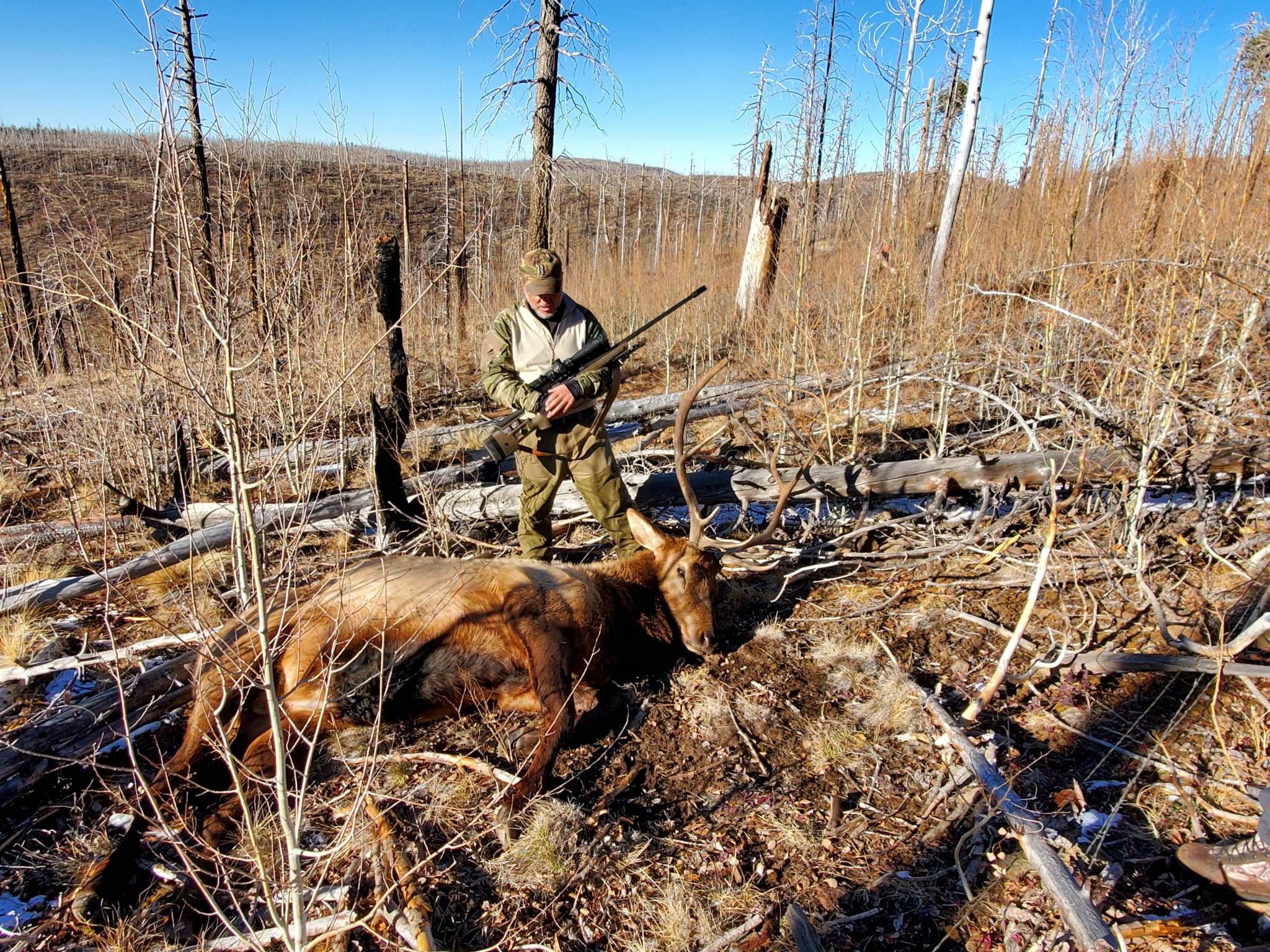 elk 2020 3.jpg