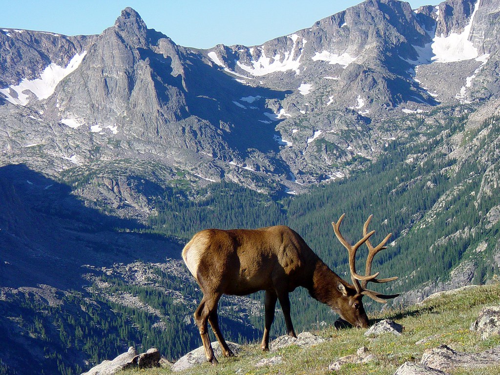 elk mtn.jpg