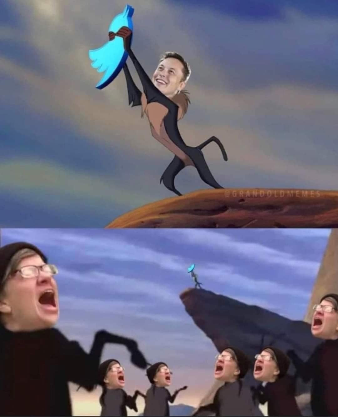 elon.jpg
